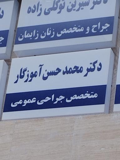 دکتر محمد حسن آموزگار
