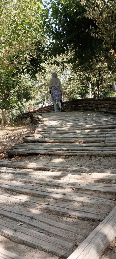 عکس ورودی بوستان طالقانی و پل طبیعت