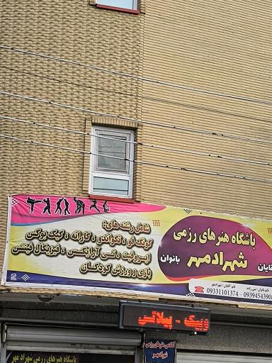 عکس باشگاه هنرهای رزمی شهرادمهر