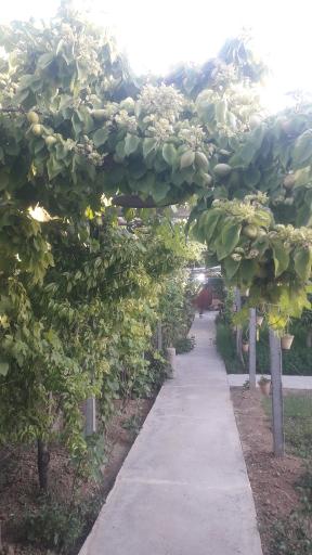 عکس اقامتگاه بوم گردی غلامرضا صفیان بلداجی