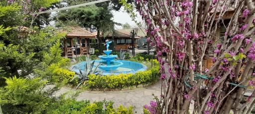 عکس کافه سنتی کادوس