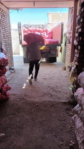 عکس خرید و فروش سیر و سیب زمینی علی اکبر قاسمی مشرف