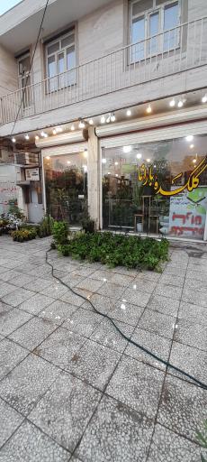 عکس گلکده بارانا