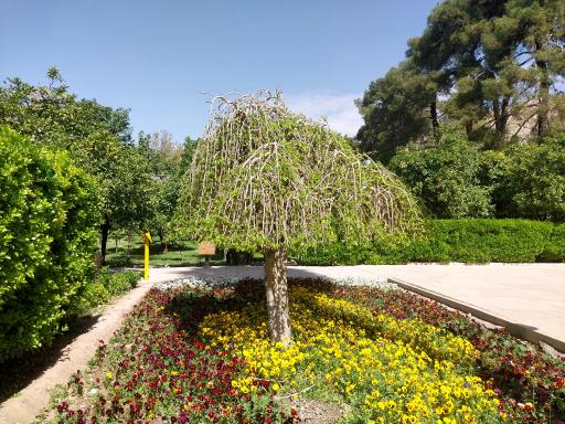 عکس باغ دلگشا