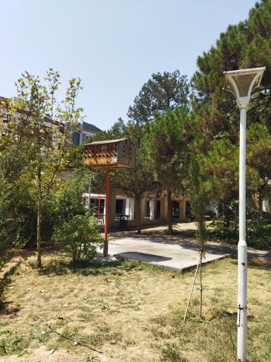 عکس بوستان سئول