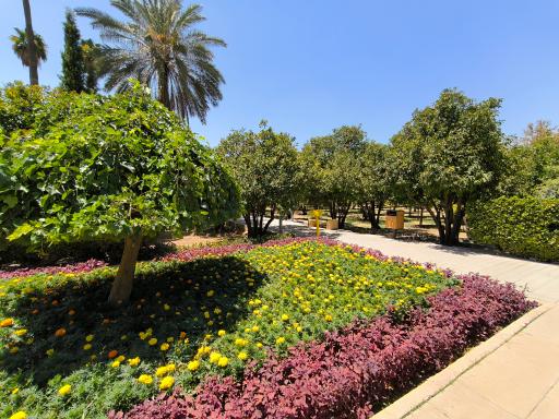 عکس باغ دلگشا