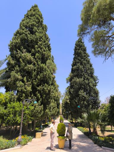 عکس باغ دلگشا