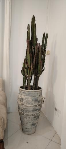 عکس گلسرای ماندگار 