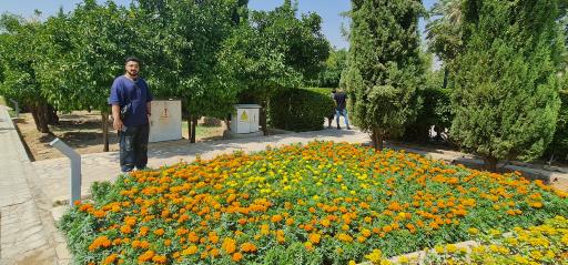 عکس باغ دلگشا