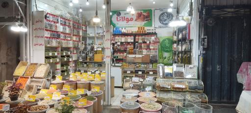 عکس عطاری مولانا