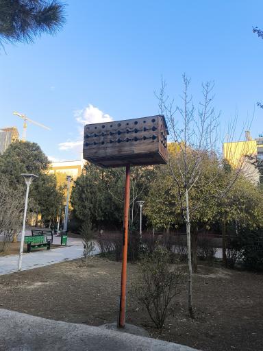 عکس بوستان سئول