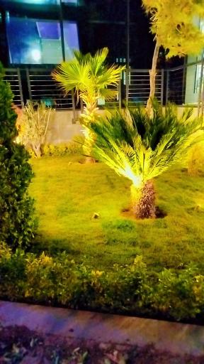 صنعت گل و گیاه کشاری