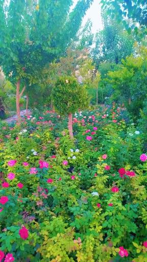 صنعت گل و گیاه کشاری