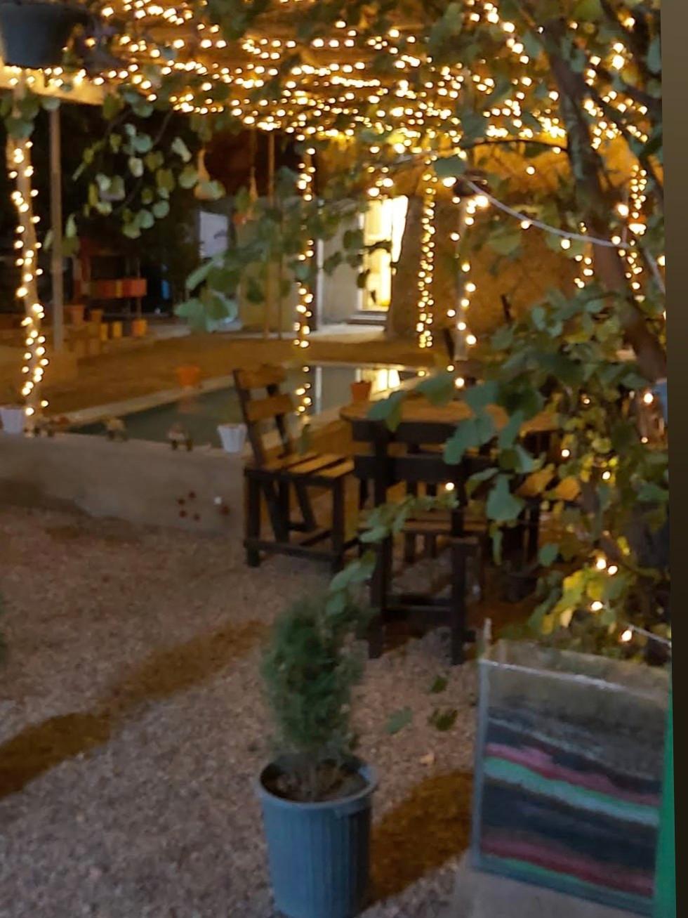 عکس کافه تن تن