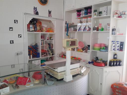 کلینیک دامپزشکی دکتر نصیری فرد