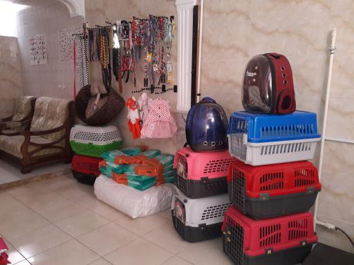 عکس کلینیک دامپزشکی دکتر نصیری فرد