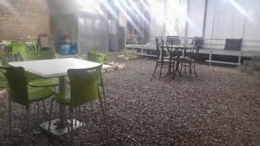 عکس جگرکی جیگر طلا