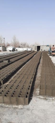 عکس بلوکه آریاتوس