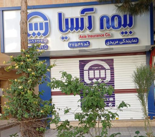 عکس بیمه آسیا
