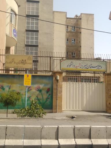 عکس دبیرستان نمونه دولتی دانشخواه