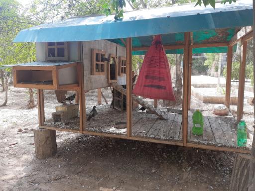 عکس بوستان خانواده سرداران