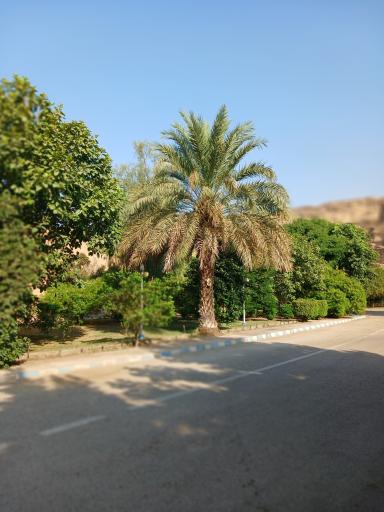 عکس گتوند