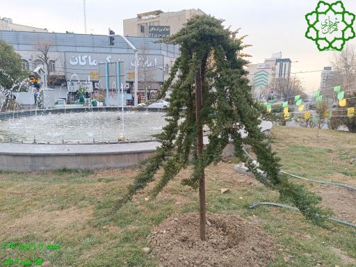 عکس میدان هروی