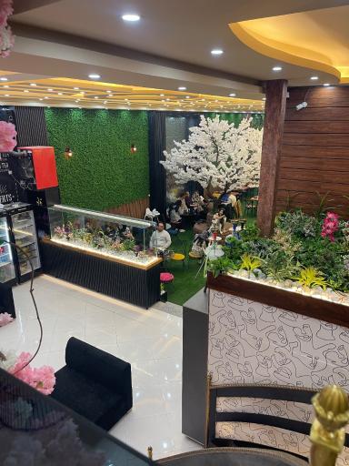 عکس کافه فست فود امارات