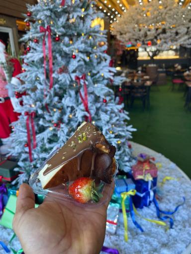 عکس کافه فست فود امارات