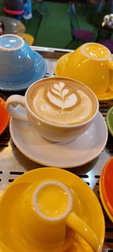 عکس کافه فست فود امارات