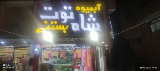 عکس آبمیوه و بستنی شاه توت