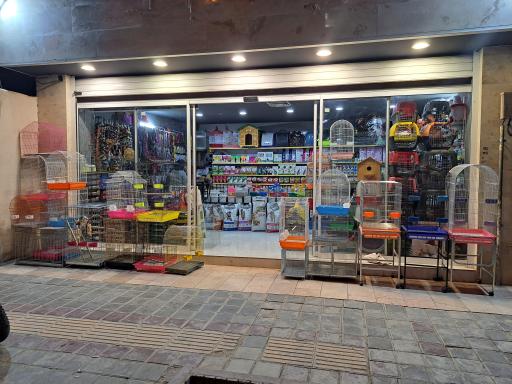 پت شاپ چین چیلا