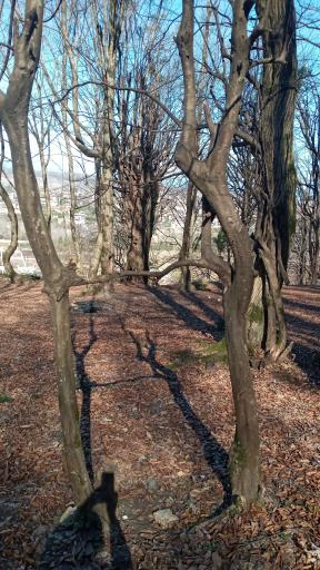 عکس کلارآباد