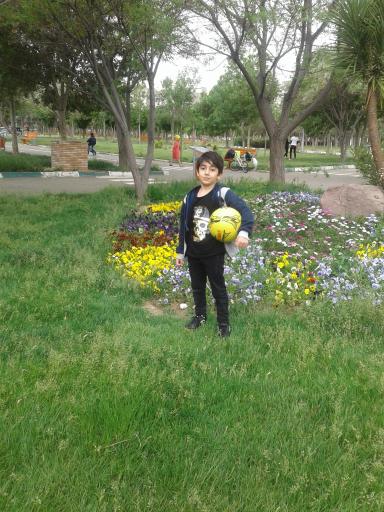 عکس بوستان مروارید 