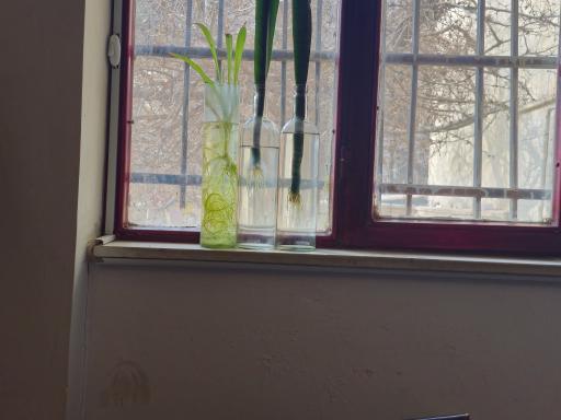 عکس شربتخانه شمس العماره 