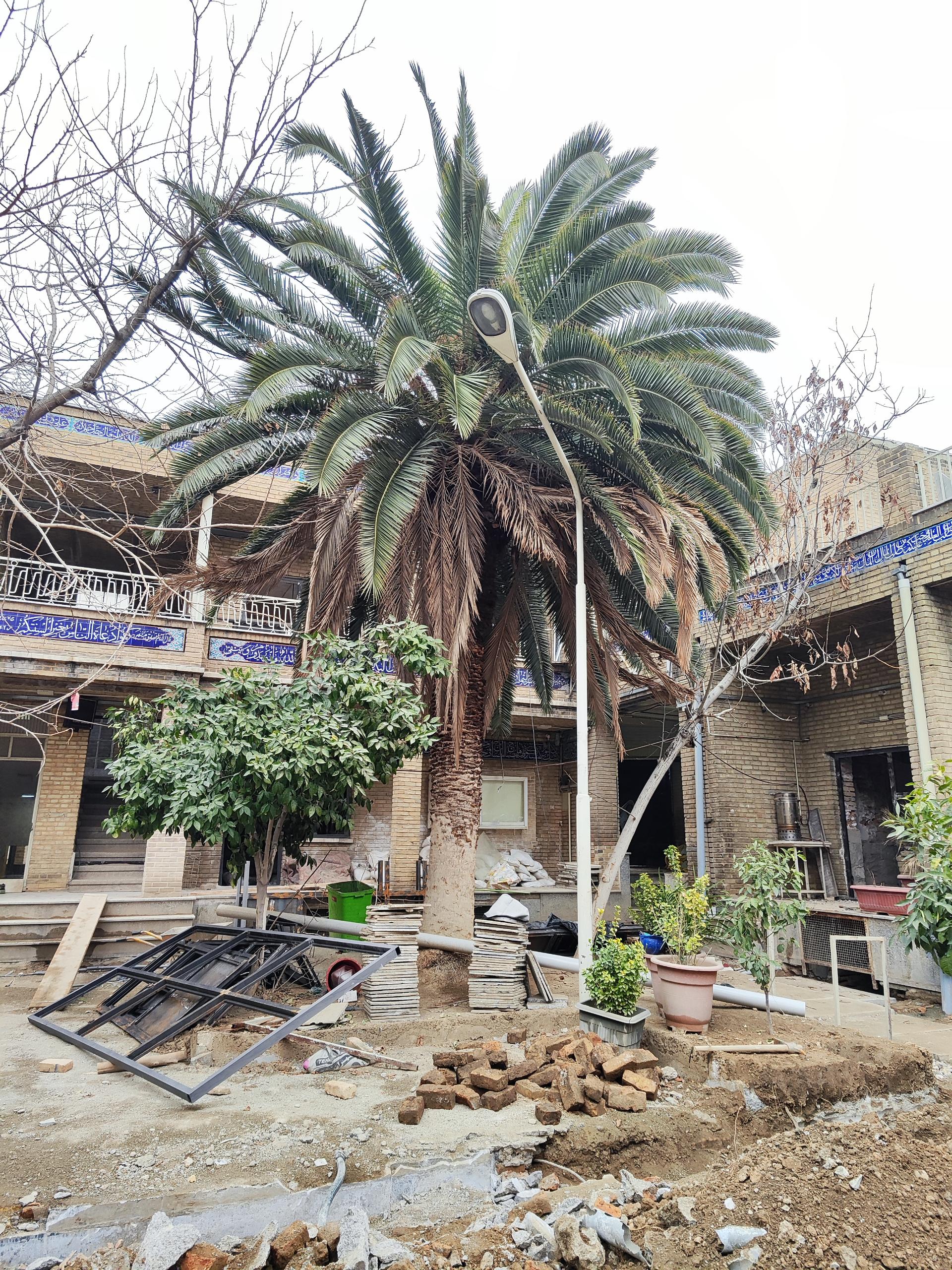 عکس مسجد حاج ابوالفتح