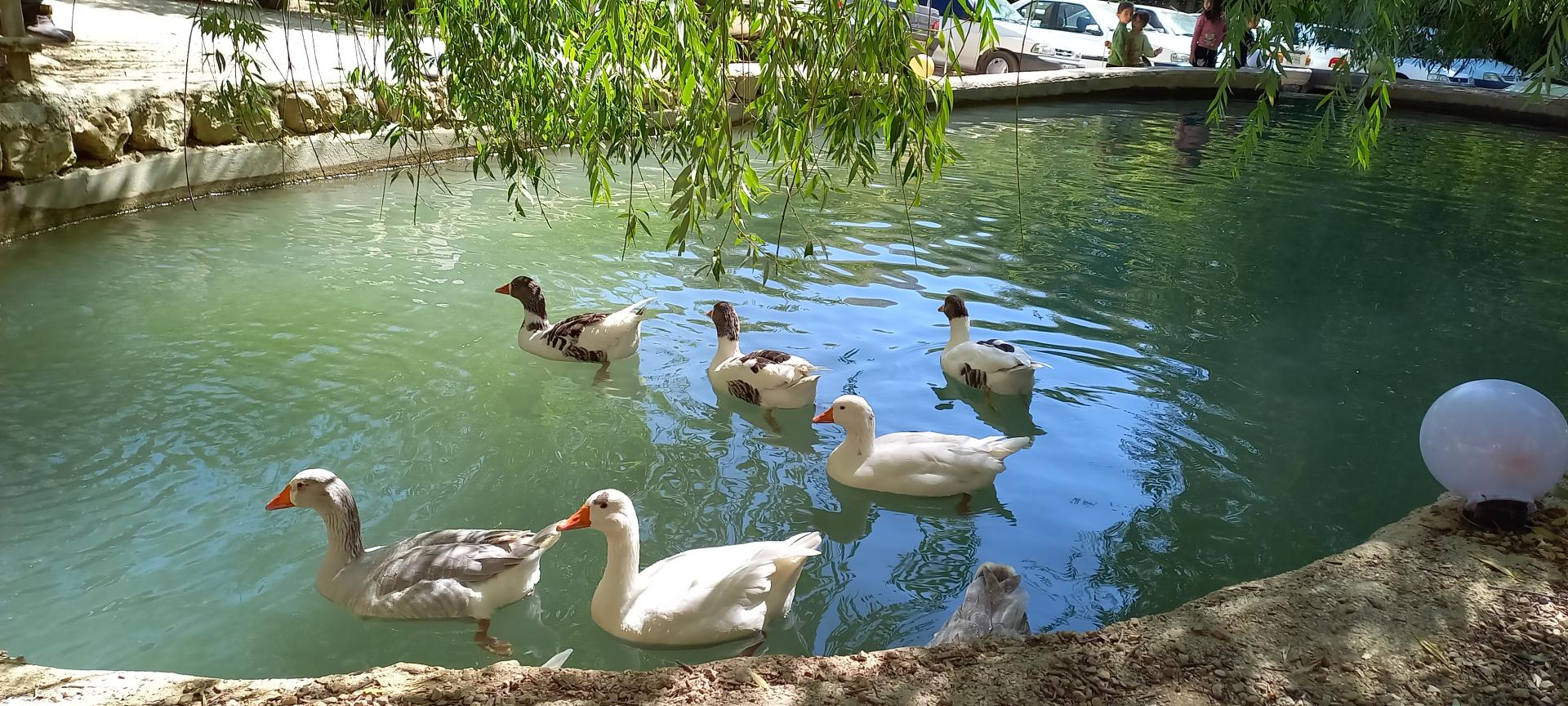 عکس باغ تفریحی سرزمین ابی