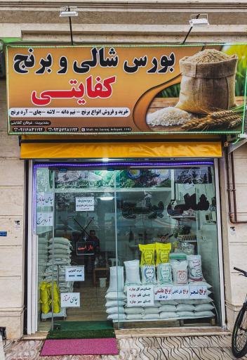 عکس بورس شالی و برنج کفایتی 