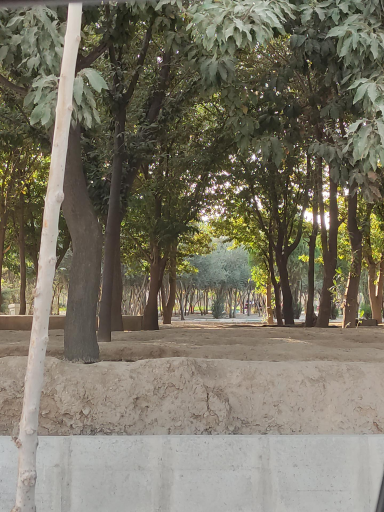 عکس بوستان مروارید 