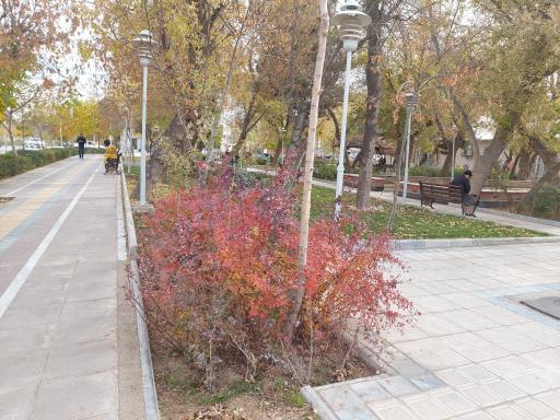 عکس پارک مادر و کودک