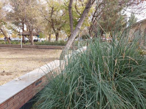 عکس پارک مادر و کودک