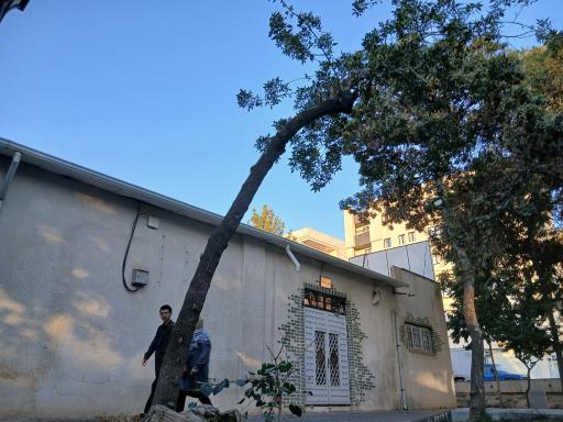 عکس پارک مادر و کودک