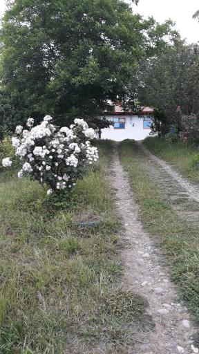 عکس اقامتگاه نسیم درفک