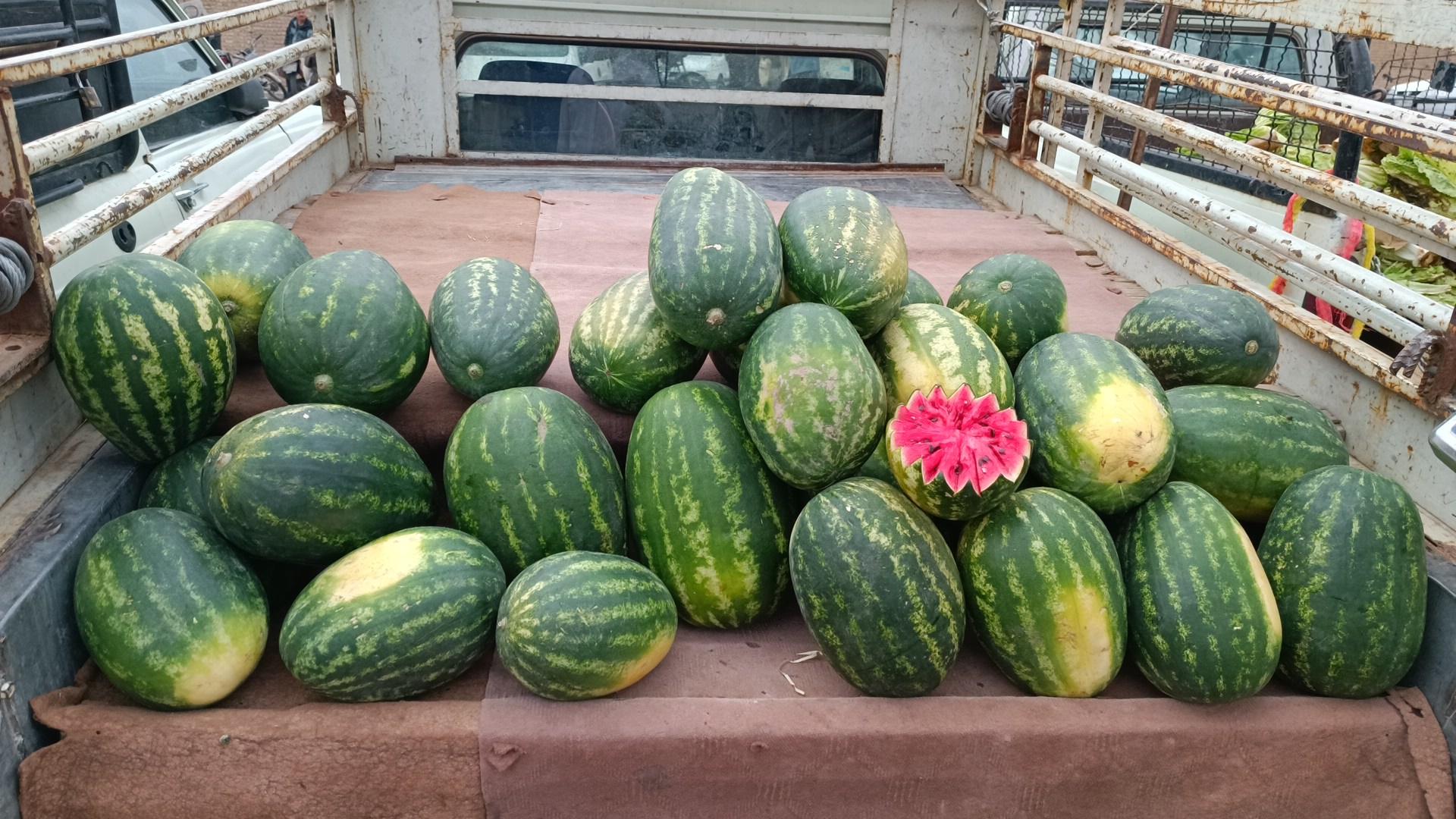 عکس یکشنبه بازار کلهری شهر قائم