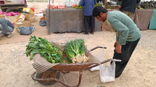 عکس یکشنبه بازار کلهری شهر قائم