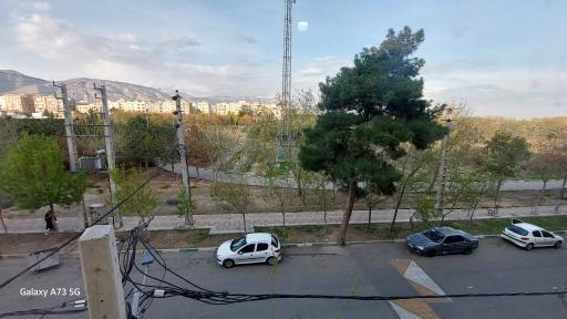 عکس بوستان مروارید 