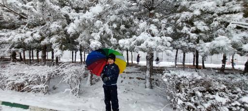 عکس بوستان مروارید 