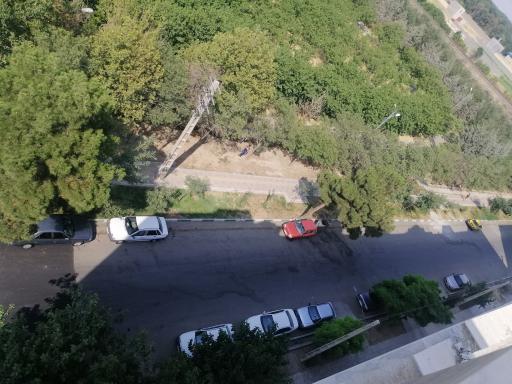 عکس بوستان مروارید 