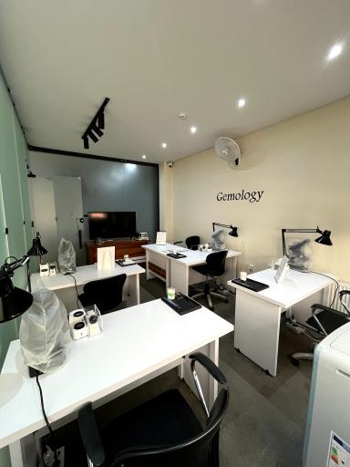 عکس جواهر نارنیا جم