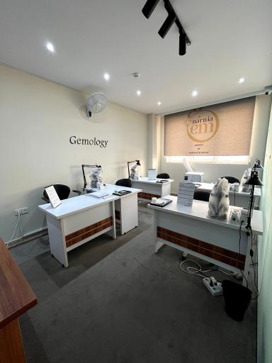 عکس جواهر نارنیا جم